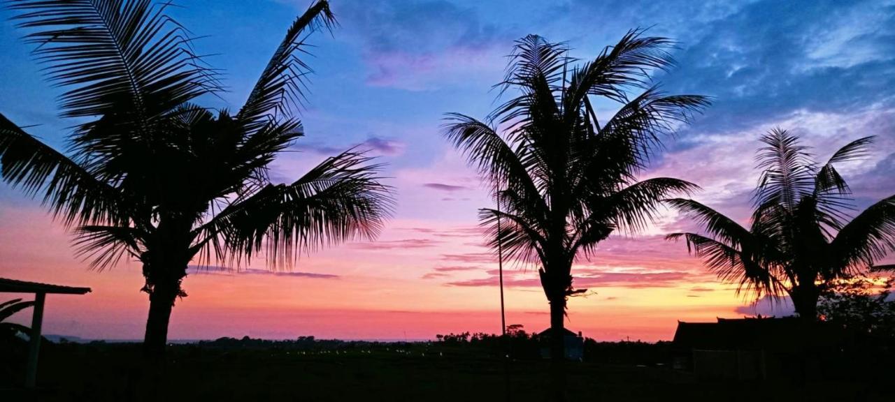 37 Sunset Village Bali Canggu Kültér fotó